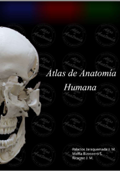 ATLAS DE ANATOMIA HUMANA.- JARAQUEMADA. FULL COLOR
