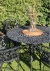 Juego de Jardín Boston Con 4 Sillas Fundición en Aluminio - comprar online