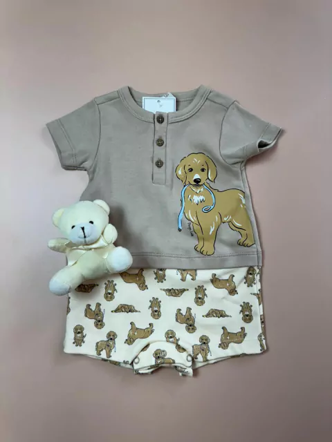 ROMPER THOMAS PINGOLELE | P AO GG