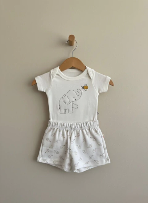 CONJUNTO ELEFANTE | P AO GG - comprar online