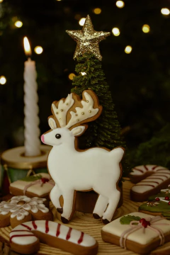 Magical Cookies | especiarias & caramelo - loja online