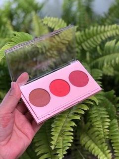 Paleta de Blush Phallebeauty na internet