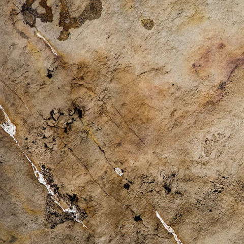 Arenisca Traslúcida - comprar online