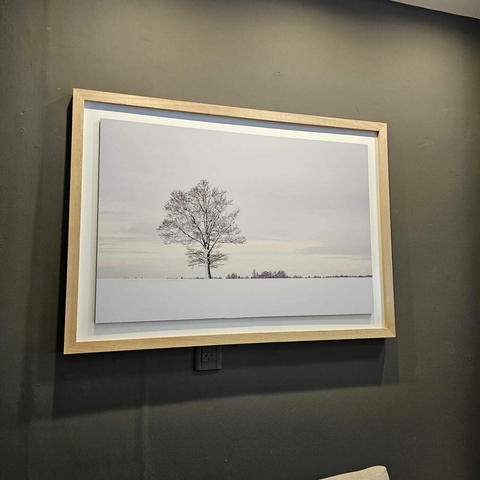 Cuadro Árbol