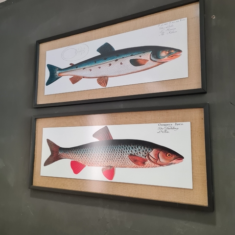 Cuadro Peces