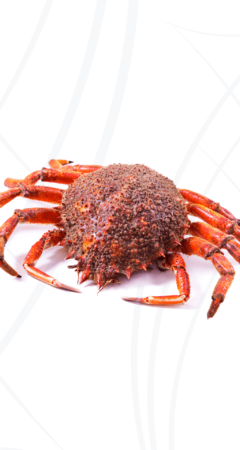 Centolla 1/2 kilo - comprar online