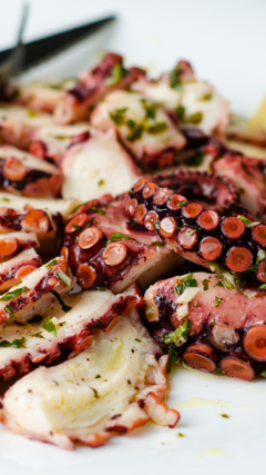 Pulpo Español 2/3 - comprar online