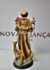 São Francisco de 30 cm na internet