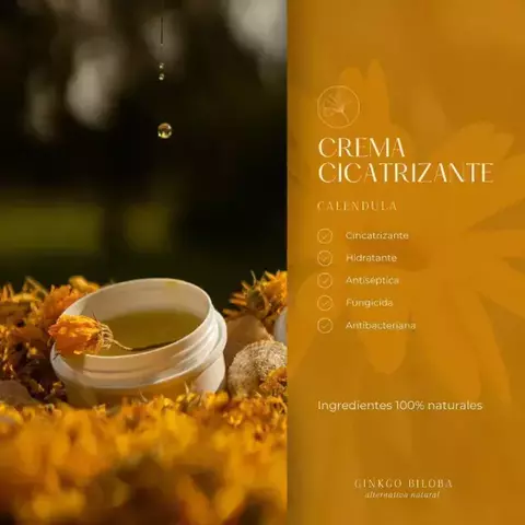 Banner de la categoría Ginkgo