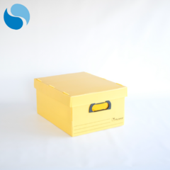 Cajas con tapa Pack x 10 Modelo 800 - tienda online