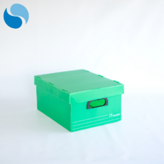 Cajas con tapa Pack x 10 Modelo 800 en internet