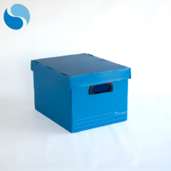Cajas Con Tapa Pack X 10 Modelo 803