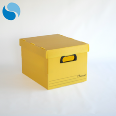 Cajas Con Tapa Pack X 10 Modelo 803 - tienda online