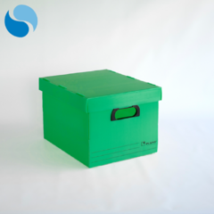 Cajas Con Tapa Pack X 10 Modelo 803 en internet