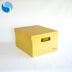 Cajas con tapa Pack x 10 Modelo 804 - comprar online