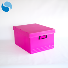 Cajas con tapa Pack x 10 Modelo 804 - SECTOR COPIER