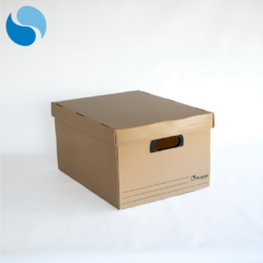 Cajas con tapa Pack x 10 Modelo 804 - tienda online