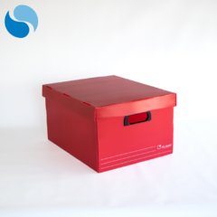 Cajas con tapa Pack x 10 Modelo 804 - comprar online