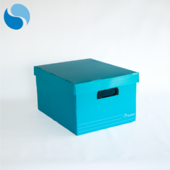 Cajas con tapa Pack x 10 Modelo 804 en internet