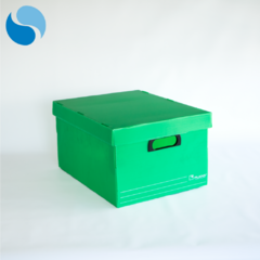Cajas con tapa Pack x 10 Modelo 804 - SECTOR COPIER