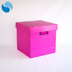 Cajas Con Tapa Pack x 10 Modelo 805 - comprar online