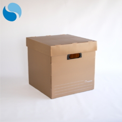 Cajas Con Tapa Pack x 10 Modelo 805 en internet