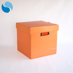 Cajas Con Tapa Pack x 10 Modelo 805 - SECTOR COPIER