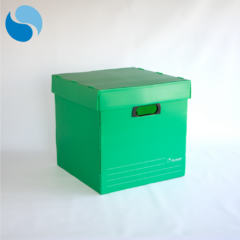 Cajas Con Tapa Pack x 10 Modelo 805