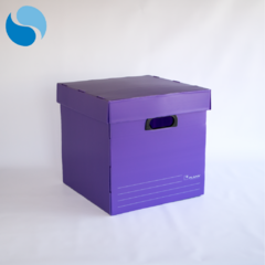 Cajas Con Tapa Pack x 10 Modelo 805 - comprar online