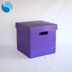 Cajas Con Tapa Pack x 5 Modelo 805 - comprar online