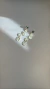 Brinco Paloma - loja online