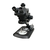 Microscopio Trinocular 7050TV Masterfix - comprar online