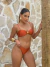 Biquíni Flórida Terracota - comprar online
