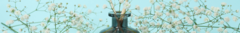 Banner de la categoría Varillas para difusores