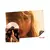 TAYLOR SWIFT: The Life of a Showgirl The Crowd is Your King Edition (Summertime Spritz Pink Shimmer LP + Poster (Target Exclusive) na internet