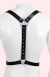 Harness Peitoral | Leonardo - comprar online