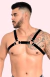 Arreio Harness em Couro