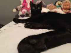 Vestido vintage na internet