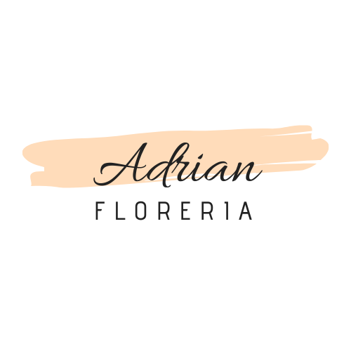 Floreria Adrián