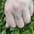 Anillo shiny bear en Plata 925 con cubics - comprar online
