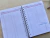 PLANNER FINANCEIRO - Azul margaridas na internet