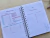 PLANNER FINANCEIRO - Azul margaridas - Bela  Arte Papelaria