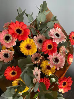 Mini Gerberas por 24 unidades surtidas - comprar online