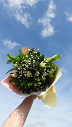 Ramo 25 jazmines en internet