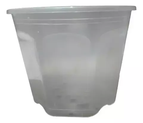 Transparente facetada