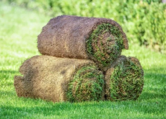 Cesped/pasto en rollo x metro cuadrado