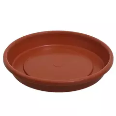 Plato para maceta redonda en internet