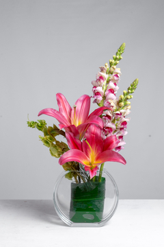 FLORERO + LILIUM