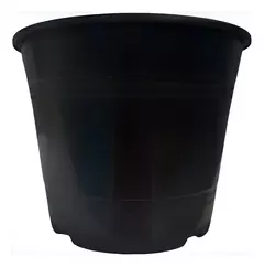 Rocio 19 - comprar online