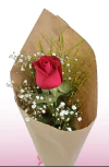 ROSA INDIVUAL